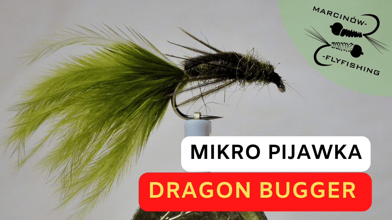 Oliwkowa pijawka DRAGON BUGGER