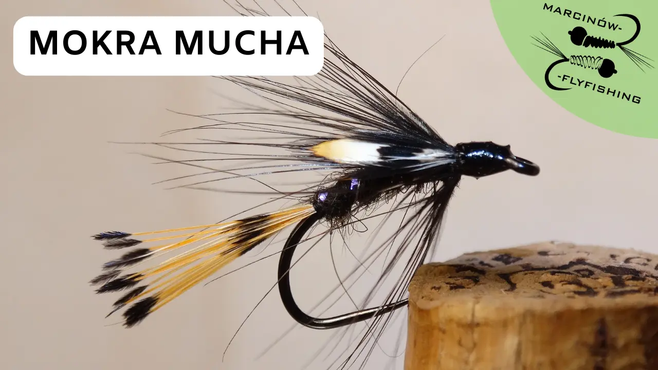 Mokra mucha | Z jungle cock