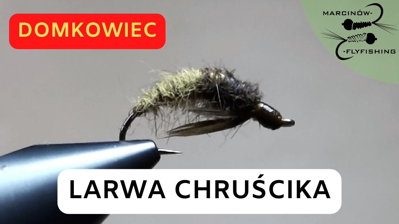 Larwa chruścika domkowego