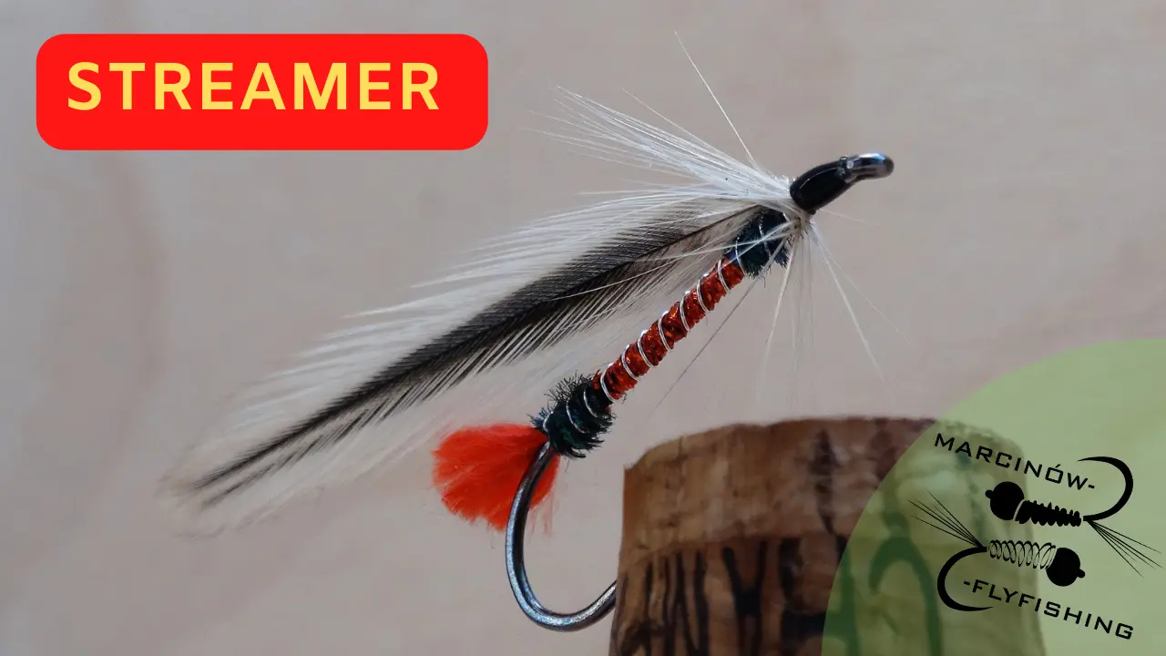 Streamer | Mój wariant