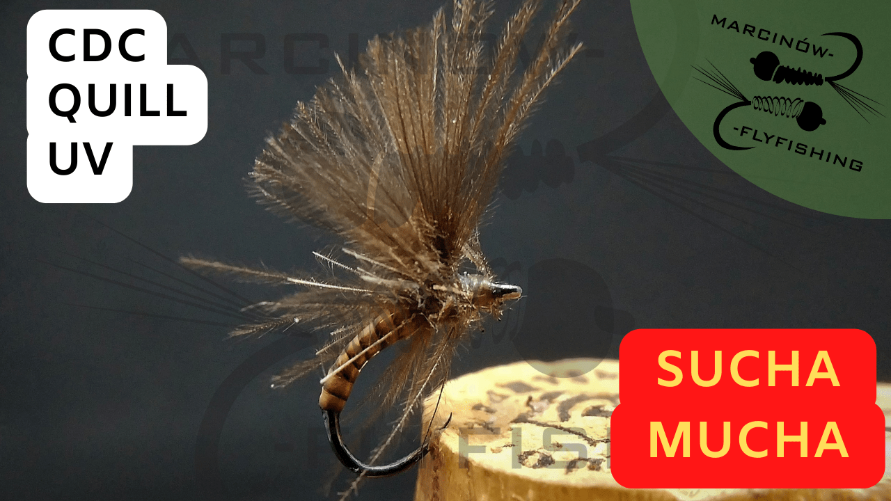 Sucha mucha | Suchar z CDC i quill-em