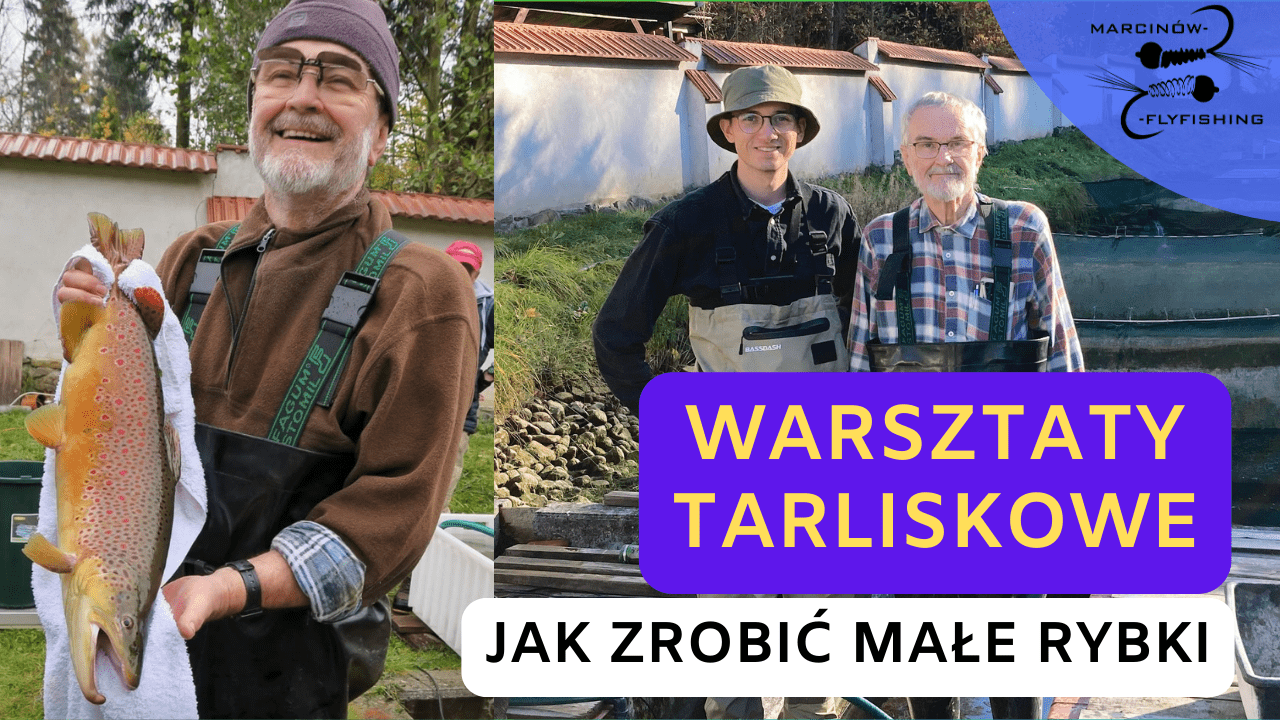 TARŁO PSTRĄGÓW POTOKOWYCH | Warsztaty u Józefa Jeleńskiego